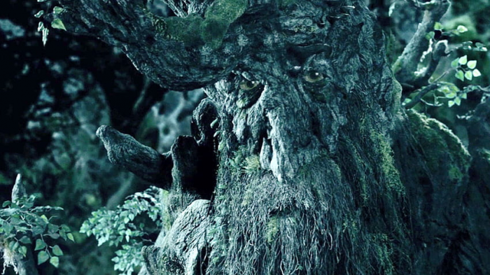 Merry and Pippin met Treebeard