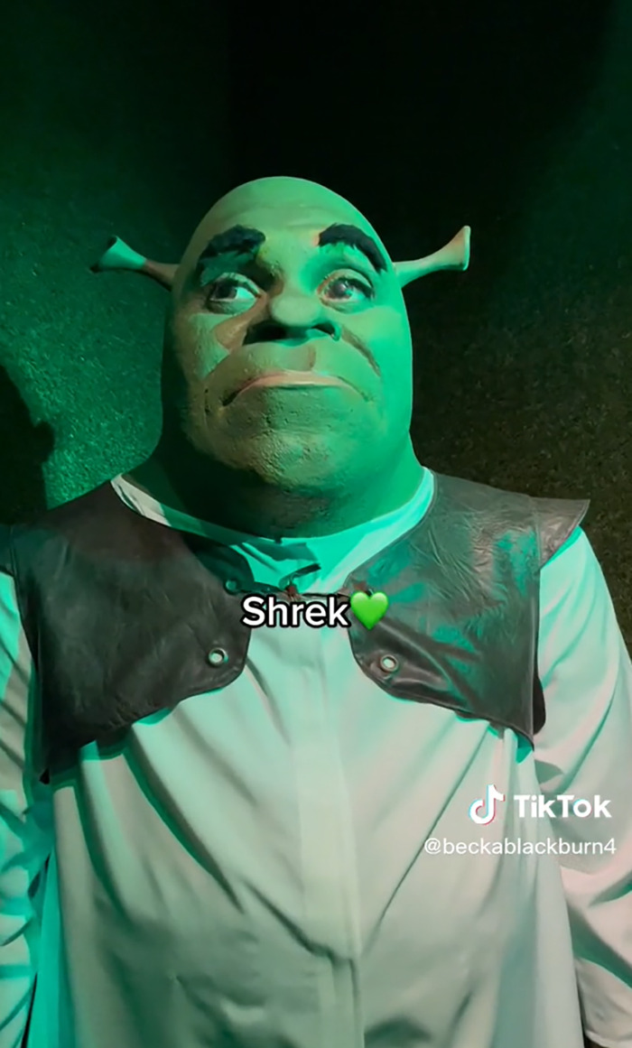 Statue de cire Shrek