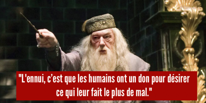 Dumbledore7