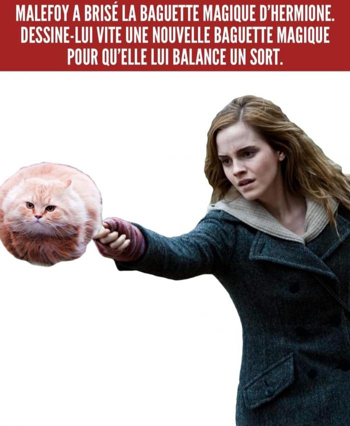 Hermione qui tient un chat en boule