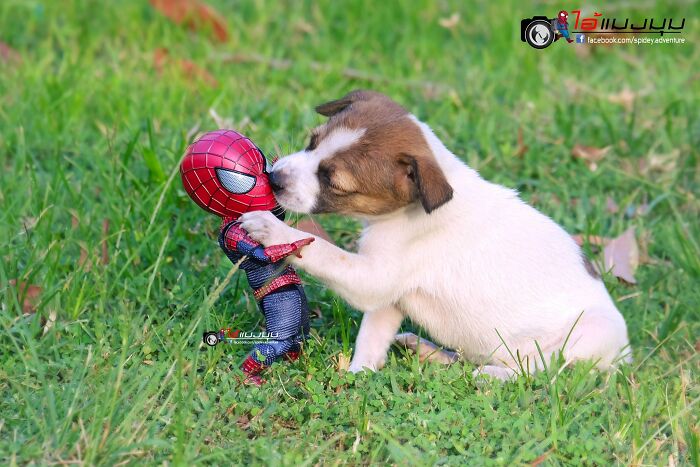 baby spiderman avec un bisou