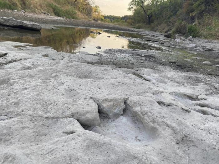 Empreinte de dinosaure dans la rivière Paluxy