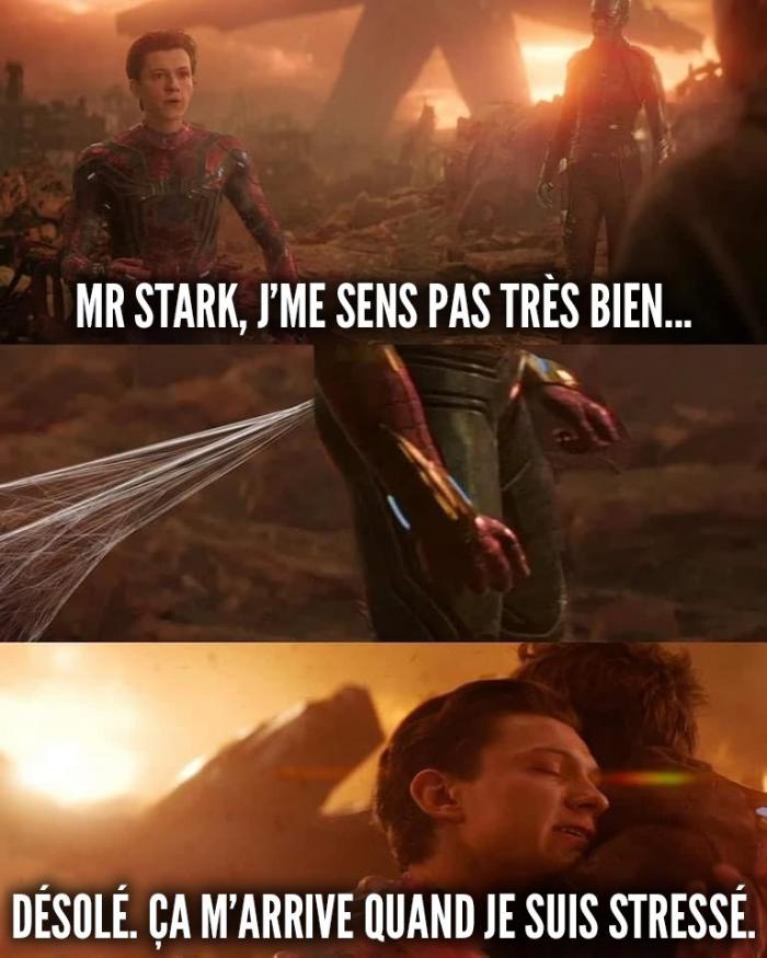 Spider-Man (tom holland) et Iron Man (robert downey jr)