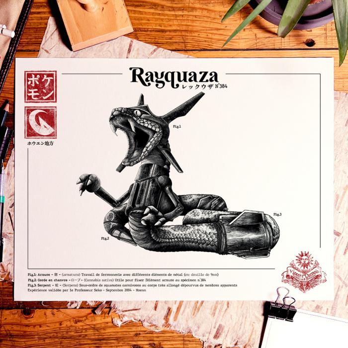 Rayquaza en description