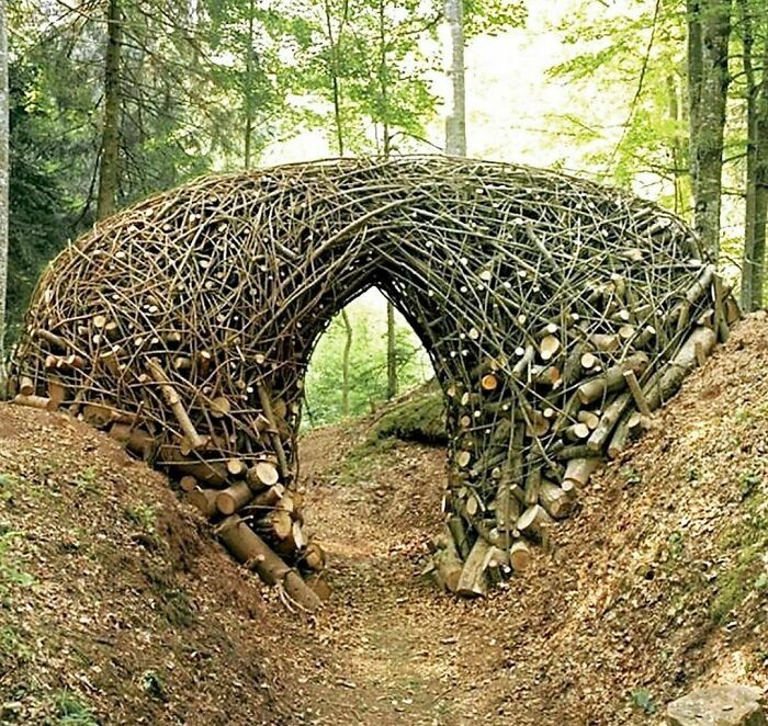 Sculptures De Branches