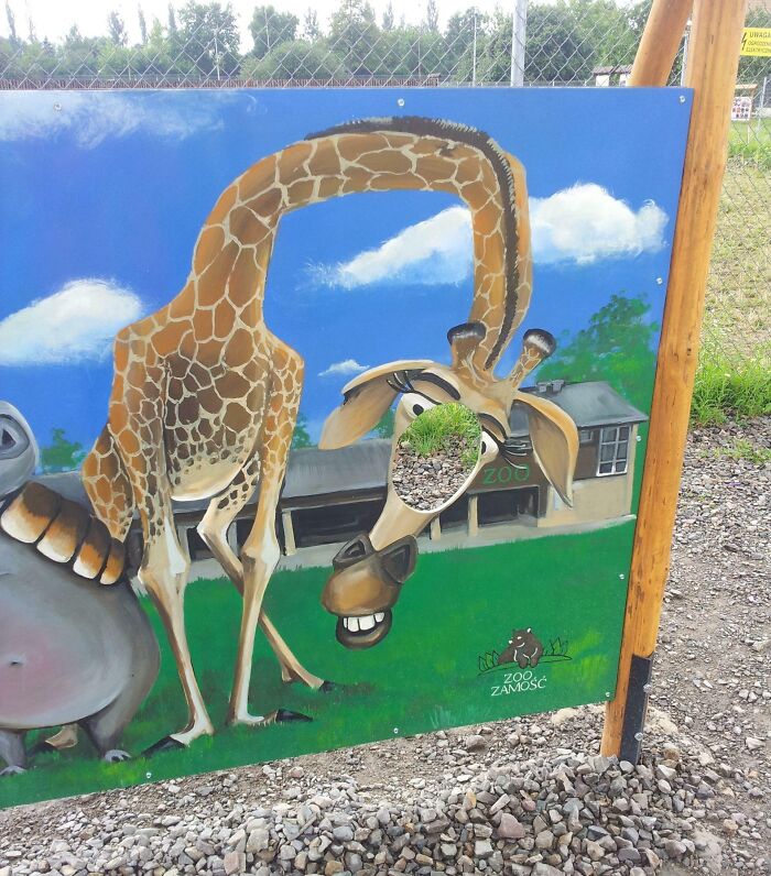 une giraffe sur une pancarte