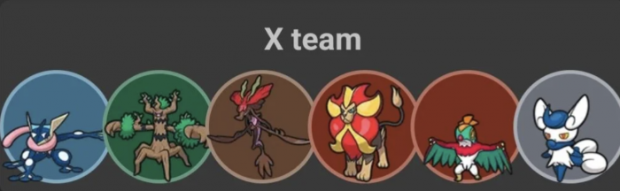 Pokémon équipe
