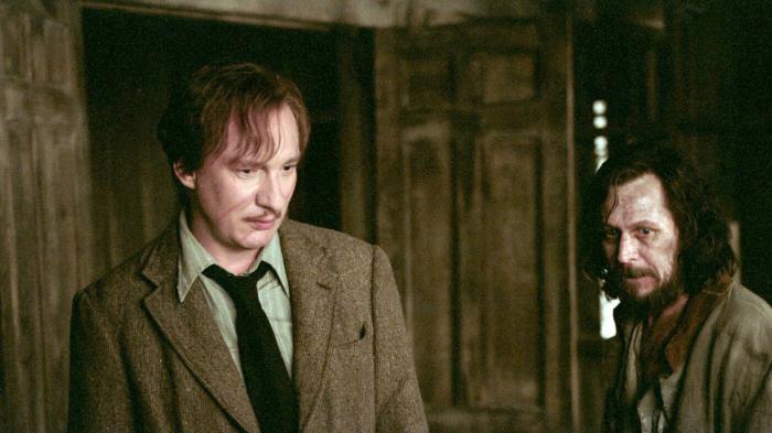 Remus Lupin retrouve Sirius Black dans la Cabane Hurlante.