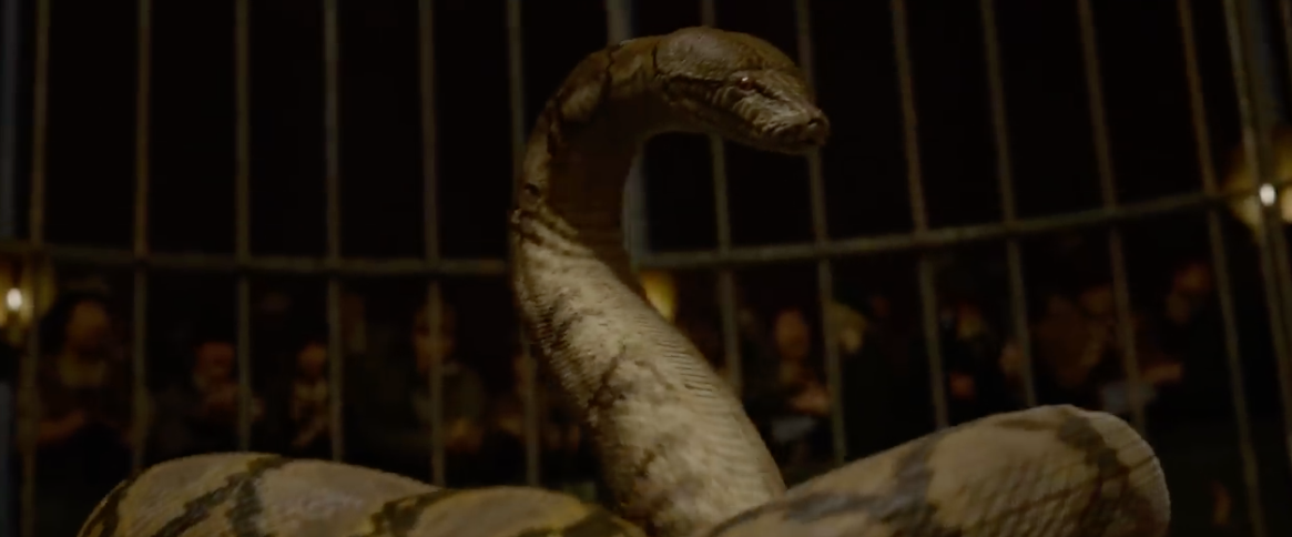Les Animaux Fantastiques 2 Amazon Prime Les Animaux Fantastiques 2 : la bande-annonce finale confirme la