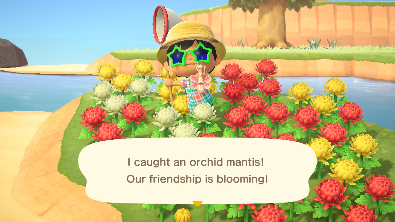 Nmt animal crossing что это