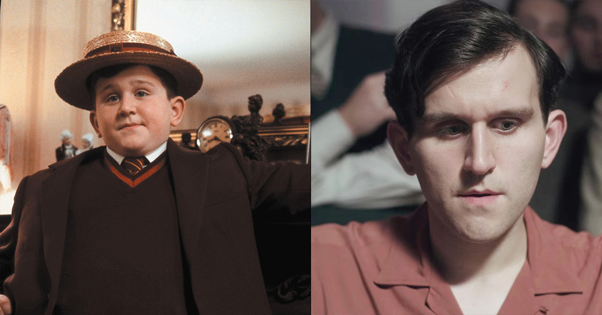Harry Melling Le Jeu De La Dame Le Jeu de la Dame : la série a quelque chose en commun avec Harry